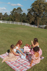 Picnic Rug - Pink Picnic Plaid