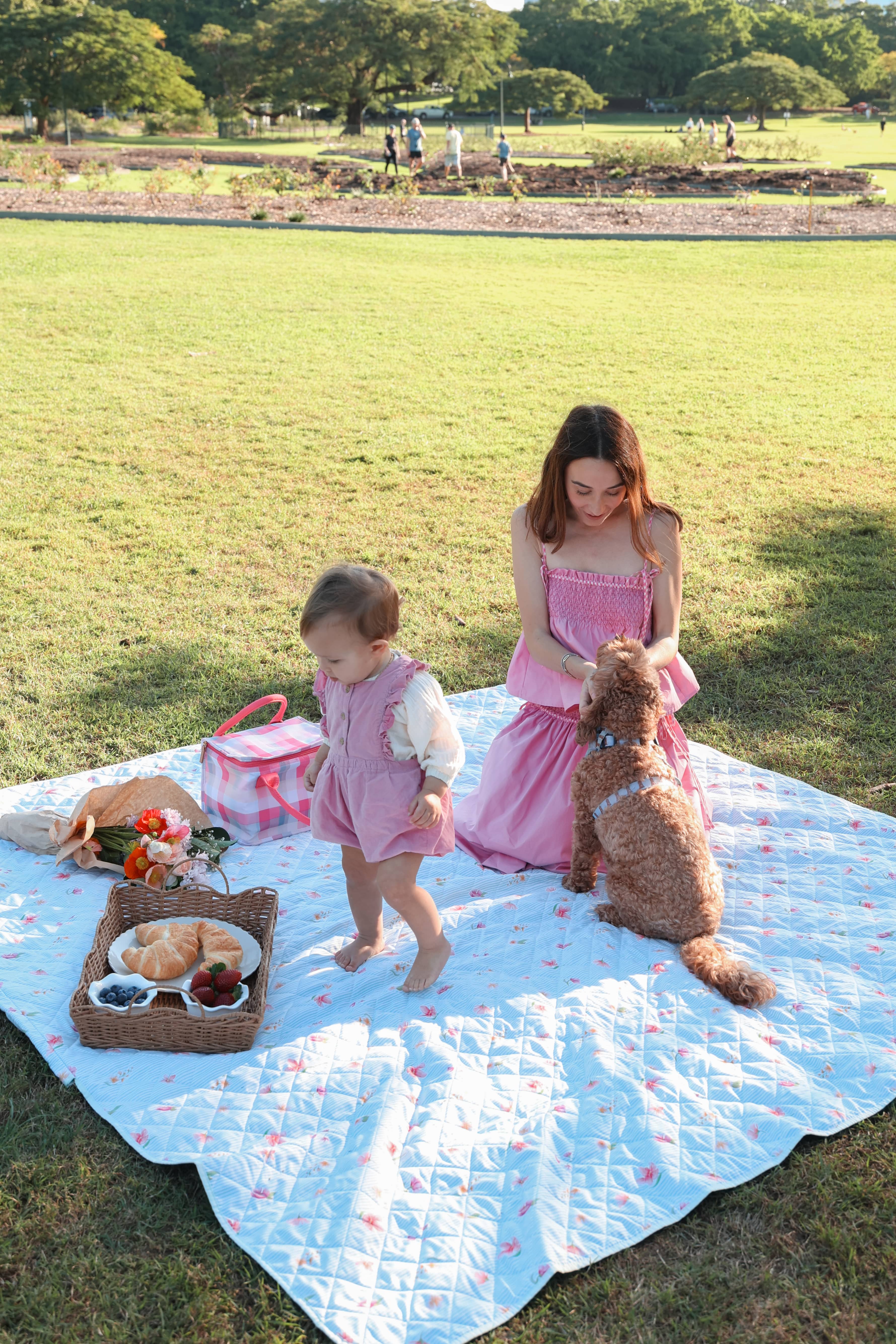 Picnic Rug - Blue Garden Stripe