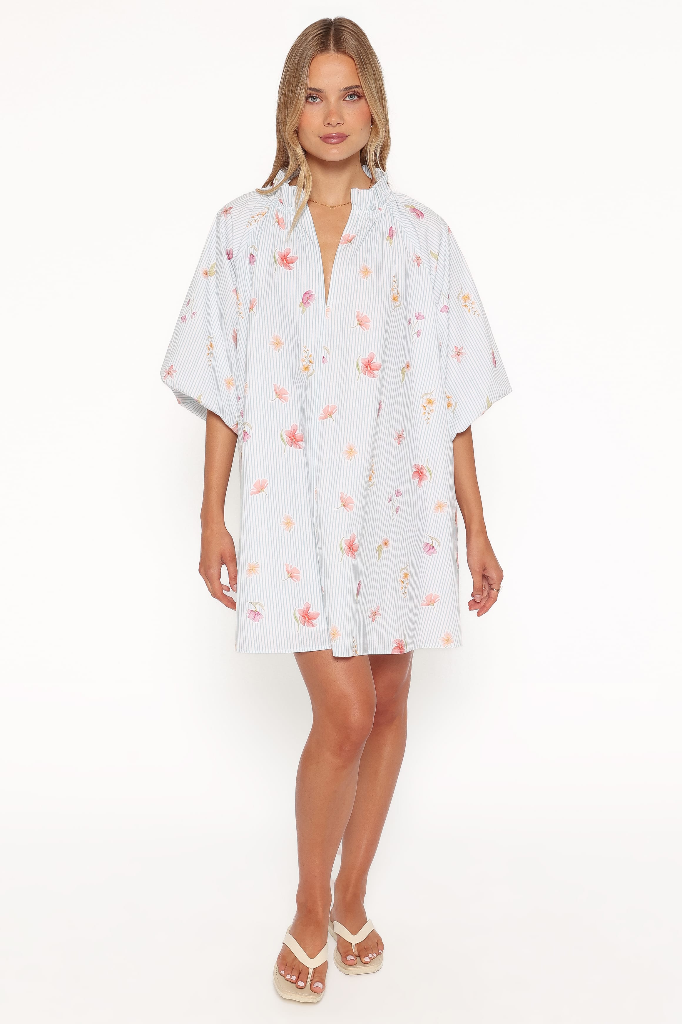 Doran Mini Dress - Blue Garden Stripe