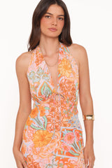 Alkira Maxi Dress - Orange Summer Garden