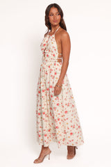Wilder Halterneck Maxi Dress - Pink Floral