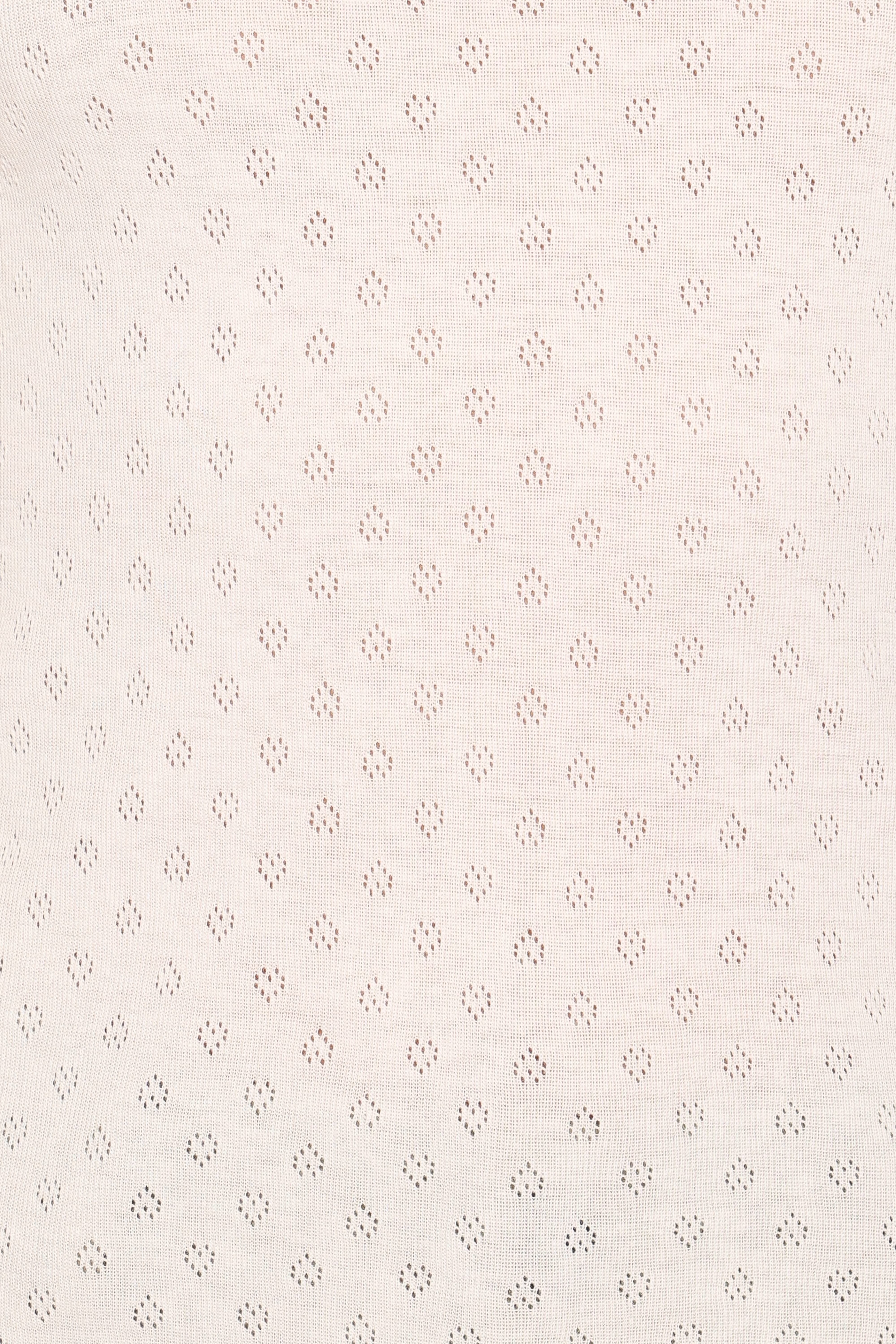Darla Pointelle Baby Tee - White